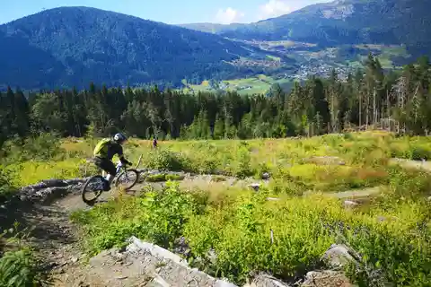 Voss - Mountainbike - Bømoem Forest
