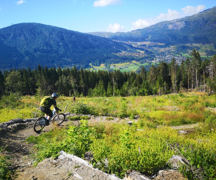 Voss - Mountain Bike – Bømoem Forest