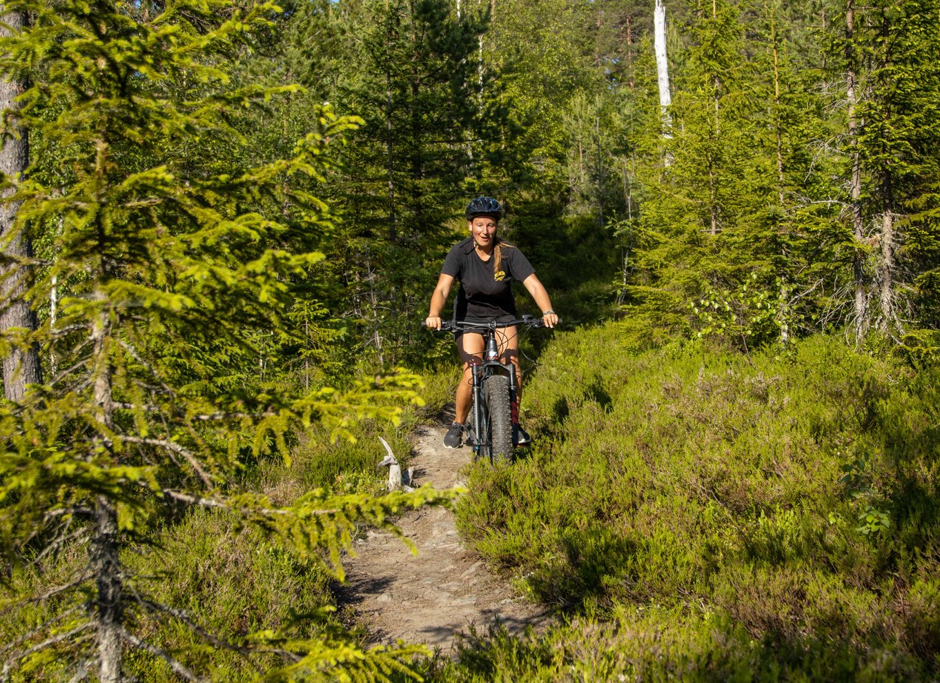 Voss - Mountainbike – Bømoem Skov