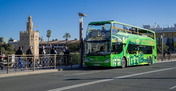 Combo: Hop on hop off + Flamenco Show & Walking tours