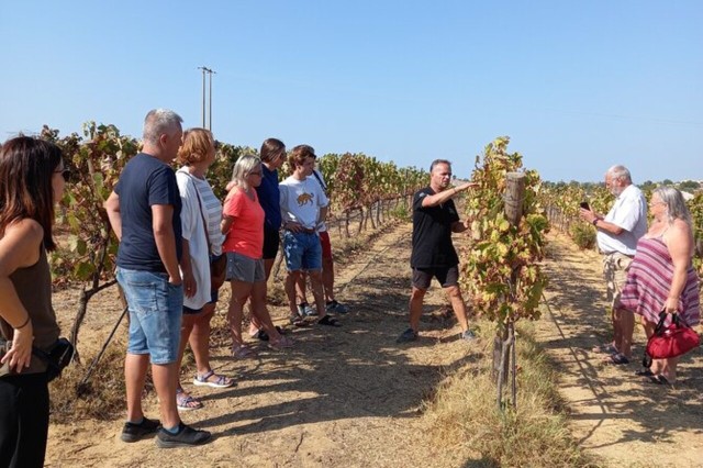 Visit Albufeira Winery Tour with Wine Tasting and Tapas in Albufeira