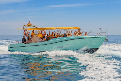 Alcudia: Delphine und Sonnenaufgang Bootstour in kleiner GruppeAlcudia: Delfine und Sonnenaufgang in einer kleinen Gruppe