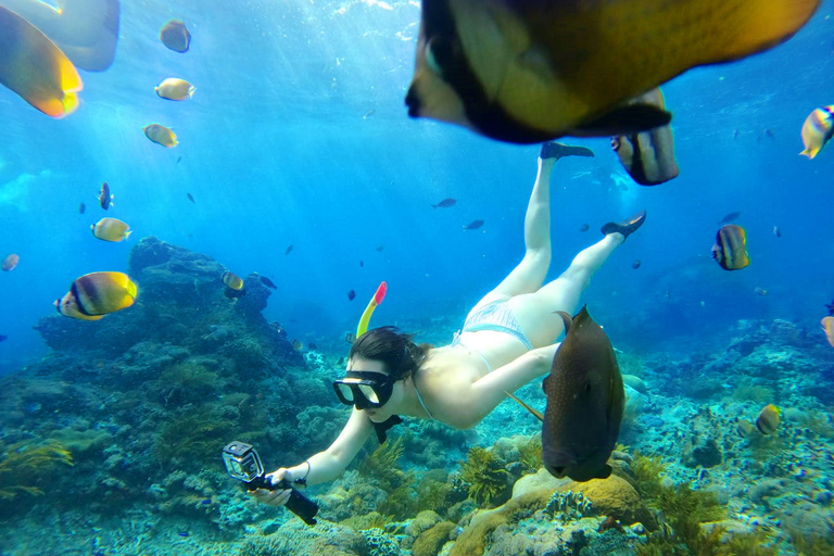 Nusa Penida: Paquete de excursión a la isla con snorkel