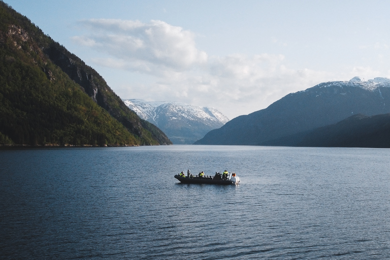 Ulvik: Hardangerfjord Ultimate RIB Tour