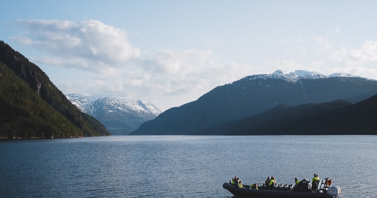 Ulvik: safari en semirrígida por el Hardangerfjord | GetYourGuide