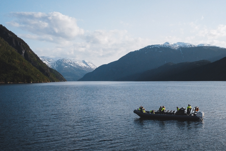 Ulvik: Hardangerfjord Ultimate RIB Tour