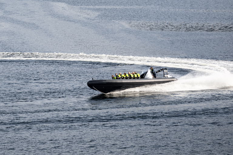 Ulvik: Hardangerfjord Ultimate RIB Tour