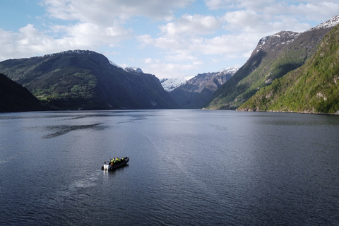 Ulvik: Hardangerfjord Ultimate RIB Tour