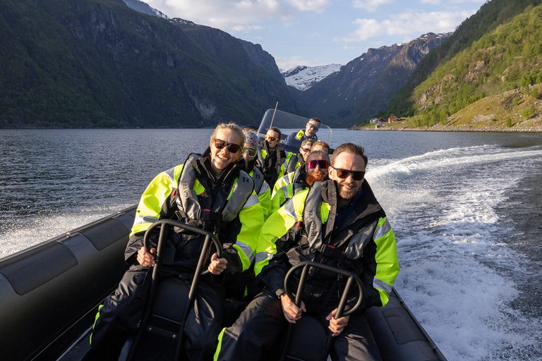 Ulvik: Hardangerfjord Ultimate RIB Tour