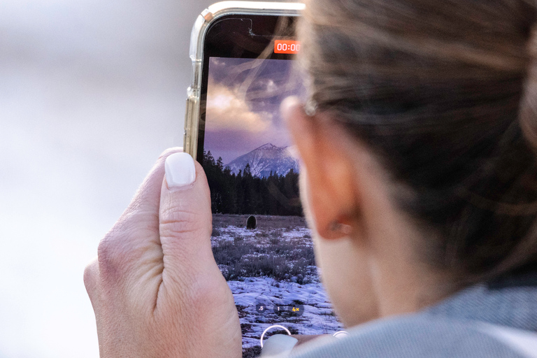 From Jackson: Grand Teton Sunset and Sightseeing Tour Grand Teton: Wildlife Sunset Safari