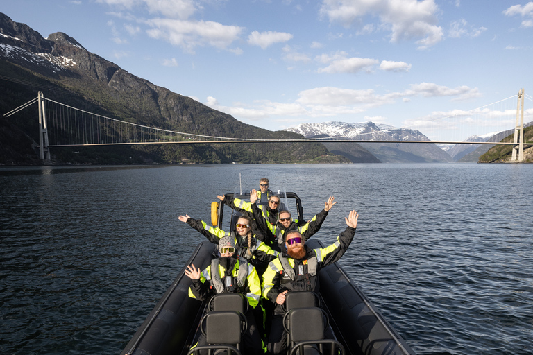 Ulvik: Hardangerfjord Ultimate RIB Tour
