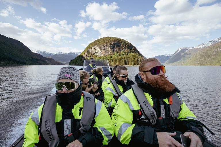 Ulvik: Hardangerfjord Ultimate RIB Tour