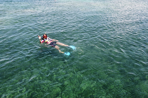 Expérience écologique en kayak et plongée avec tuba avec collation et boissons