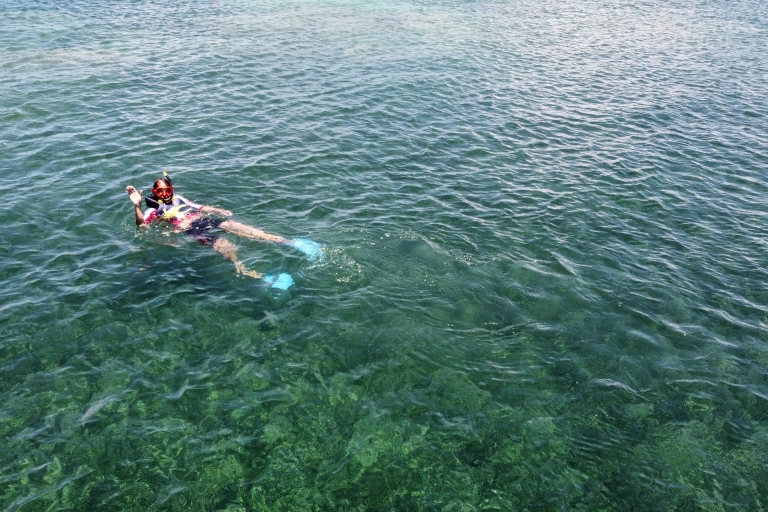 Kajak en snorkelen Eco-ervaring met hapje en drankje