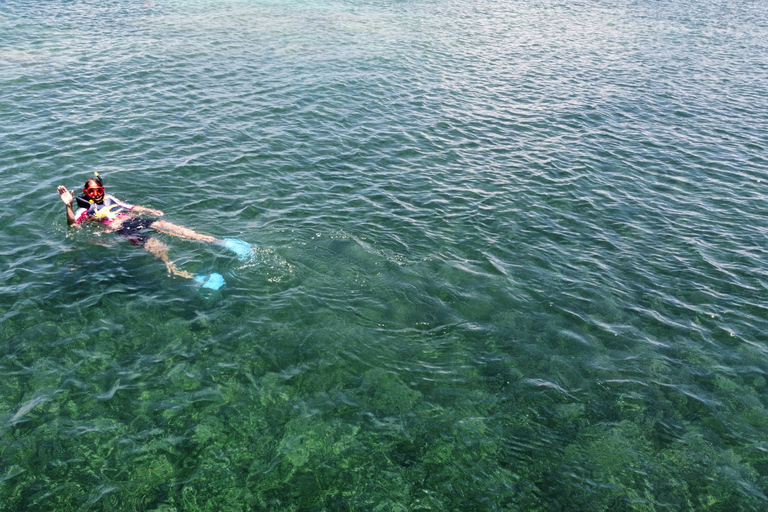 Expérience écologique en kayak et plongée avec tuba avec collation et boissons