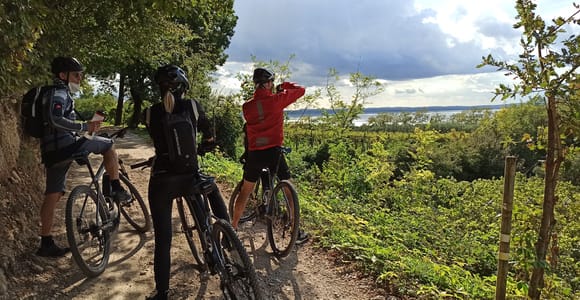 Bardolino: e-bike tour and wine tasting on the hills