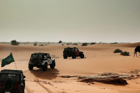 From Riyadh: Desert Safari in Thumammah