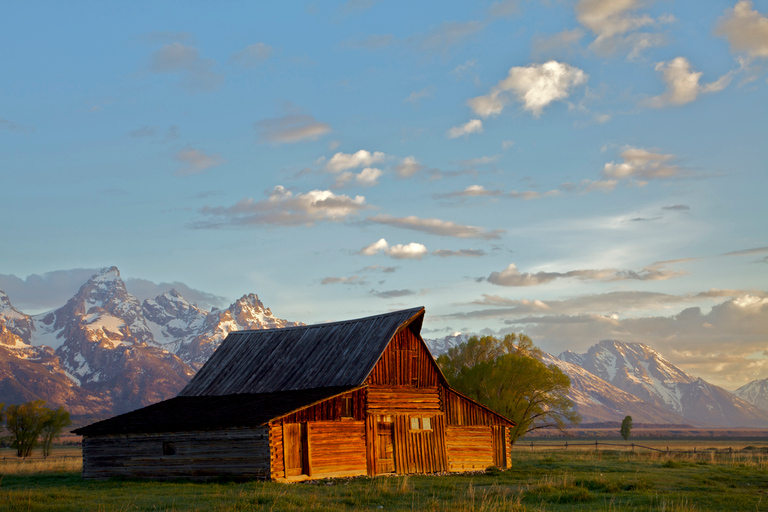 From Jackson: Grand Teton Sunset and Sightseeing Tour Grand Teton: Wildlife Sunset Safari