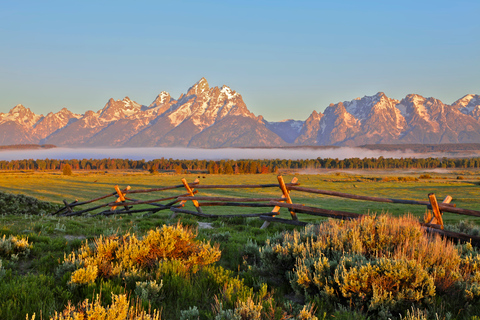 From Jackson: Grand Teton Sunset and Sightseeing Tour Grand Teton: Wildlife Sunset Safari