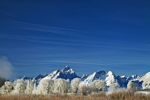 From Jackson: Grand Teton Sunset and Sightseeing Tour Grand Teton: Wildlife Sunset Safari