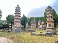 Visita privada de Zhengzhou al Templo Shaolin con Kungfu Show - Hizvo