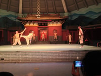 Visita privada de Zhengzhou al Templo Shaolin con Kungfu Show - Hizvo