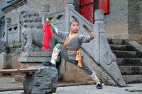 Visita privada de Zhengzhou al Templo Shaolin con Kungfu Show - Hizvo