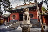 Visita privada de Zhengzhou al Templo Shaolin con Kungfu Show - Hizvo