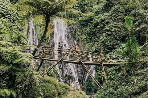 Bedugul Tour Bali Handara Gate z wodospadem Banyumala