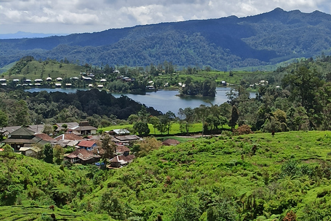 Vulcano, sorgenti calde, bagni di fango e tour del tè: tutto inclusoGiro aperto