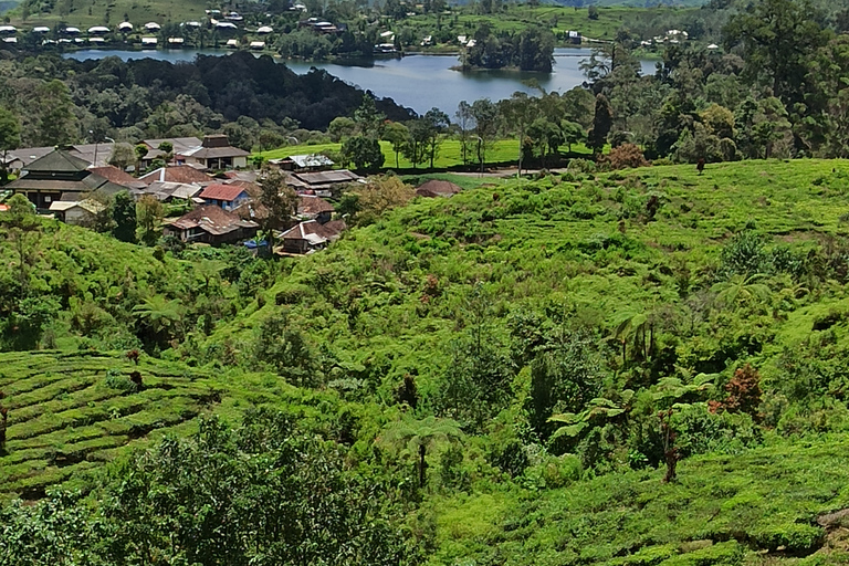 Vulcano, sorgenti calde, bagni di fango e tour del tè: tutto inclusoGiro aperto