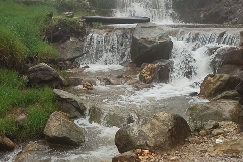 Vulcano, sorgenti calde, bagni di fango e tour del tè: tutto inclusoGiro aperto