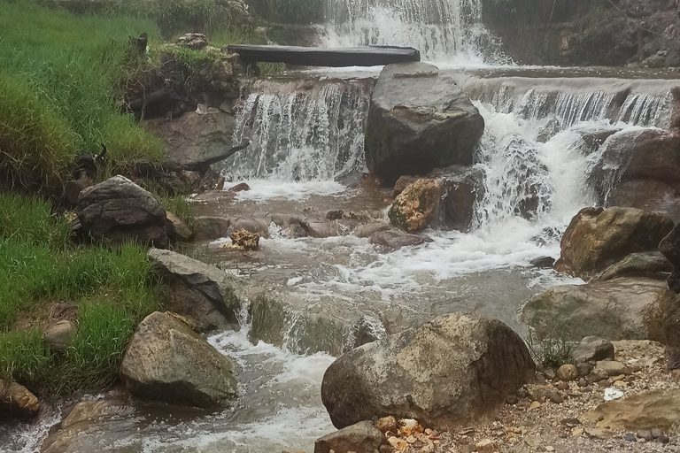 Vulcano, sorgenti calde, bagni di fango e tour del tè: tutto inclusoGiro aperto