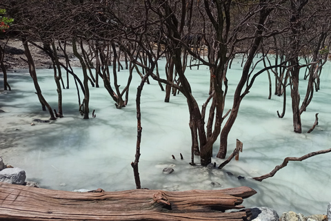 Vulcano, sorgenti calde, bagni di fango e tour del tè: tutto inclusoGiro aperto
