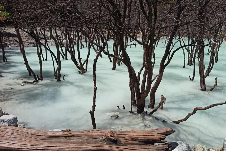 Vulcano, sorgenti calde, bagni di fango e tour del tè: tutto inclusoGiro aperto
