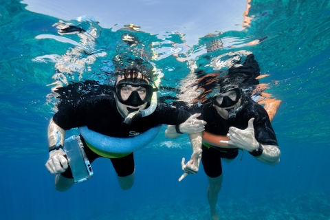 Du port de Ma'alaea : snorkeling à Molokini et Coral GardensDe Ma'alaea : après-midi snorkeling à Coral Gardens à Malolo