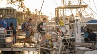 De Ma'alaea, tournée de montre de la baleine de l'après-midi à bord du Malolo - Housity