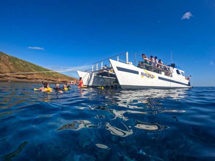 Süd-Maui: PM Schnorchelausflug zu den Coral Gardens oder zum Molokini Krater