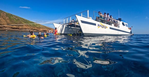 South Maui: Snorkel to Coral Gardens or Molokini Crater
