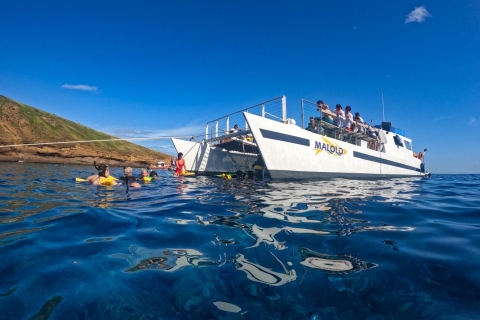 Du port de Ma'alaea : snorkeling à Molokini et Coral GardensDe Ma'alaea : après-midi snorkeling à Coral Gardens à Malolo