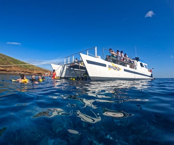 Maui Sud: Snorkeling pomeridiano ai Giardini di Corallo o al Cratere di Molokini