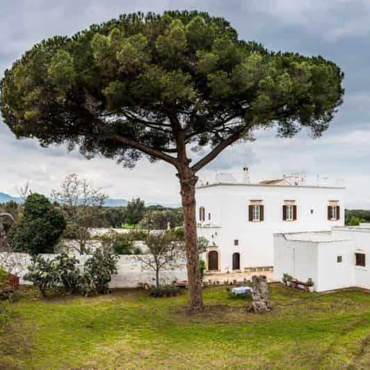 Valle D Itria Masseria E Degustazione Di Olio D Oliva GetYourGuide