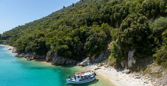 From Nidri: Marine Wildlife Cruise with Lunch and Swim Stops