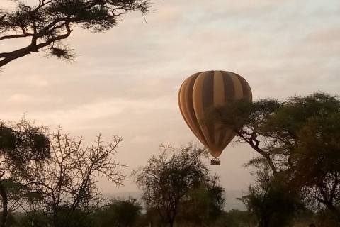 10 días y 9 noches de safari en avión por Kenia.10 días 9 noches Safari Volador Tembo en Kenia.
