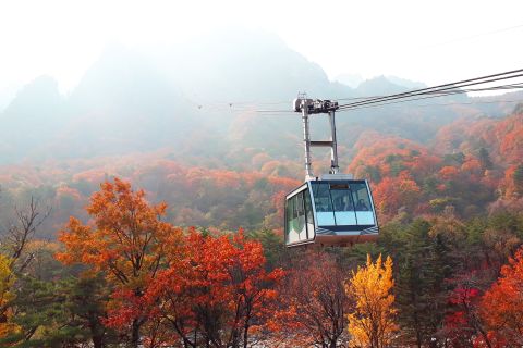 From Seoul: Seoraksan, Nami, and Garden of Morning Calm Tour