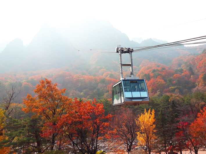 Da Seul: Tour di Seoraksan, Nami e del Giardino della Calma Mattutina