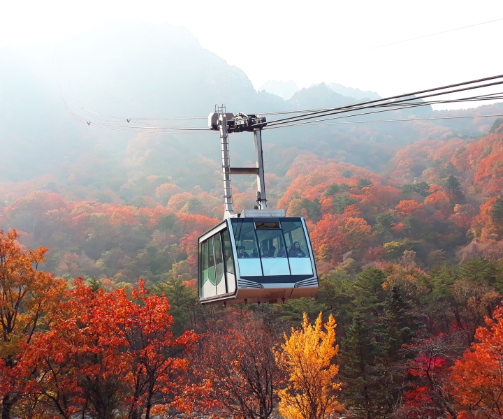 From Seoul: Seoraksan, Nami, and Garden of Morning Calm Tour