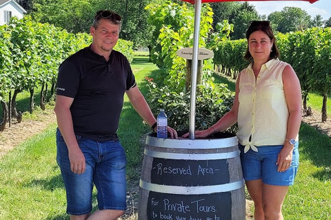 Niagara-on-the-Lake: Sunset Wine Tour with DinnerTour with Pickup and Drop-off