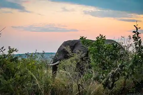 2days kruger National Park