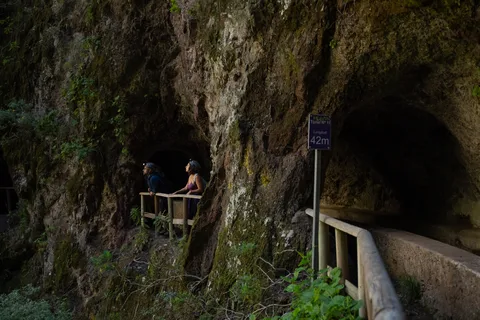 La Palma: Springs Marcos y Cordero Guided Trekking Tour